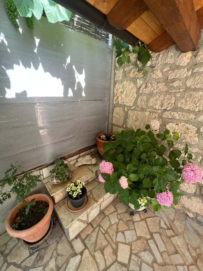 Kuca Za Odmor Matea Apartment Porec Croatia